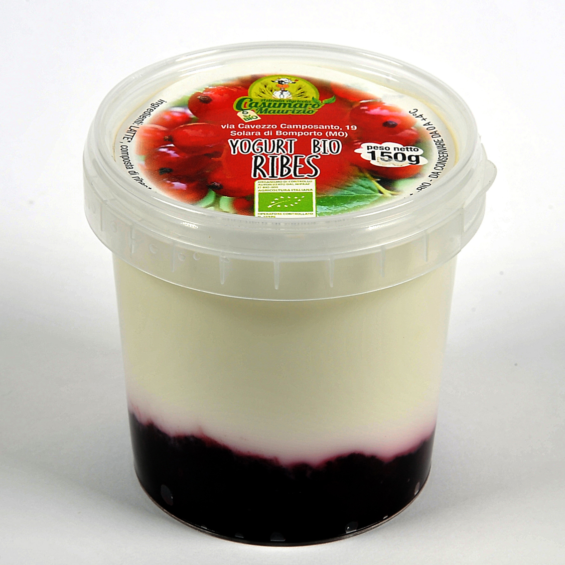 YOGURT RIBES 150 G BIO