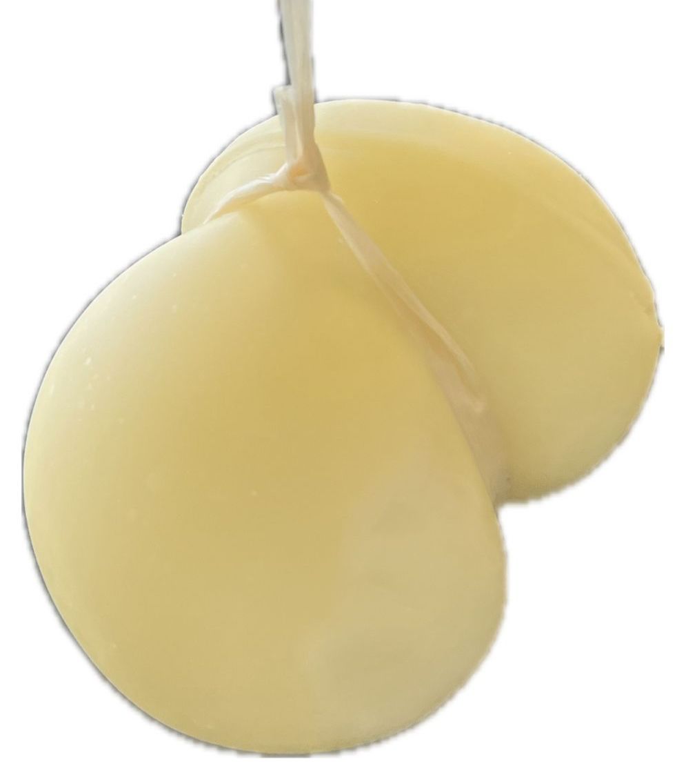 SCAMORZA Bio formaggio a pasta filante di circa 400g