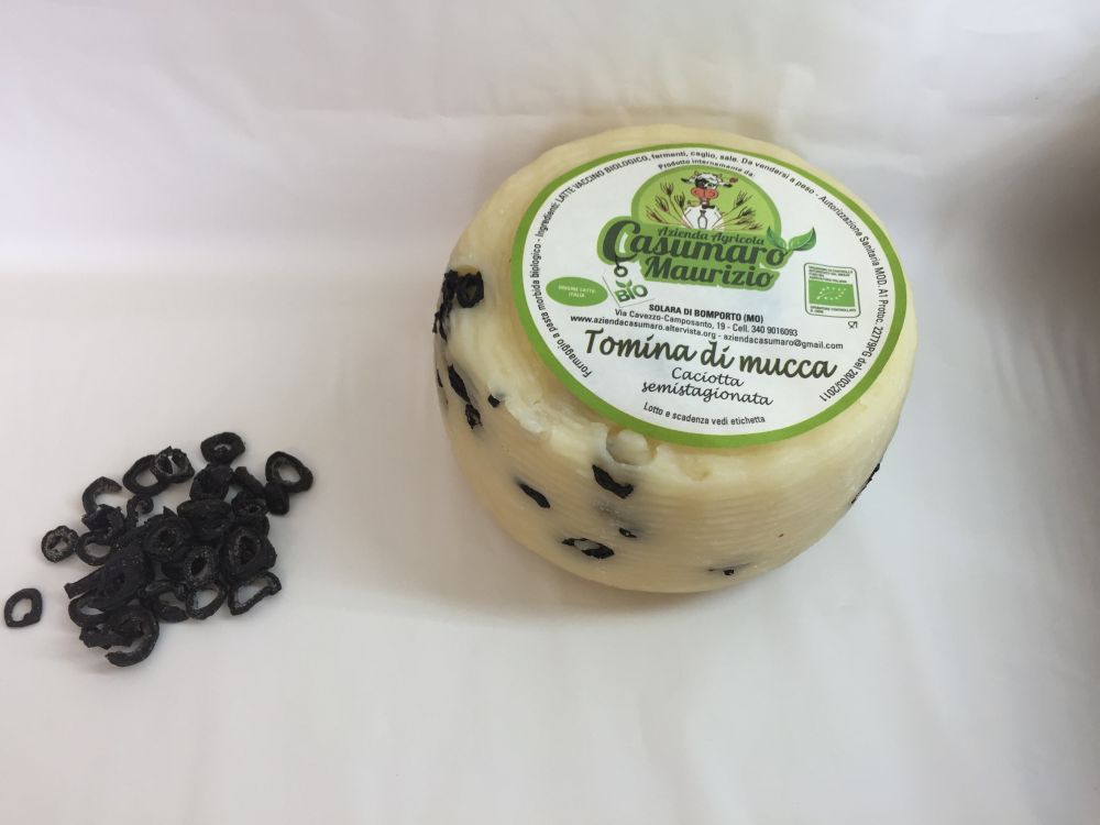 CACIOTTA SEMISATAGIONATA VACINA OLIVE  1 KG  BIO