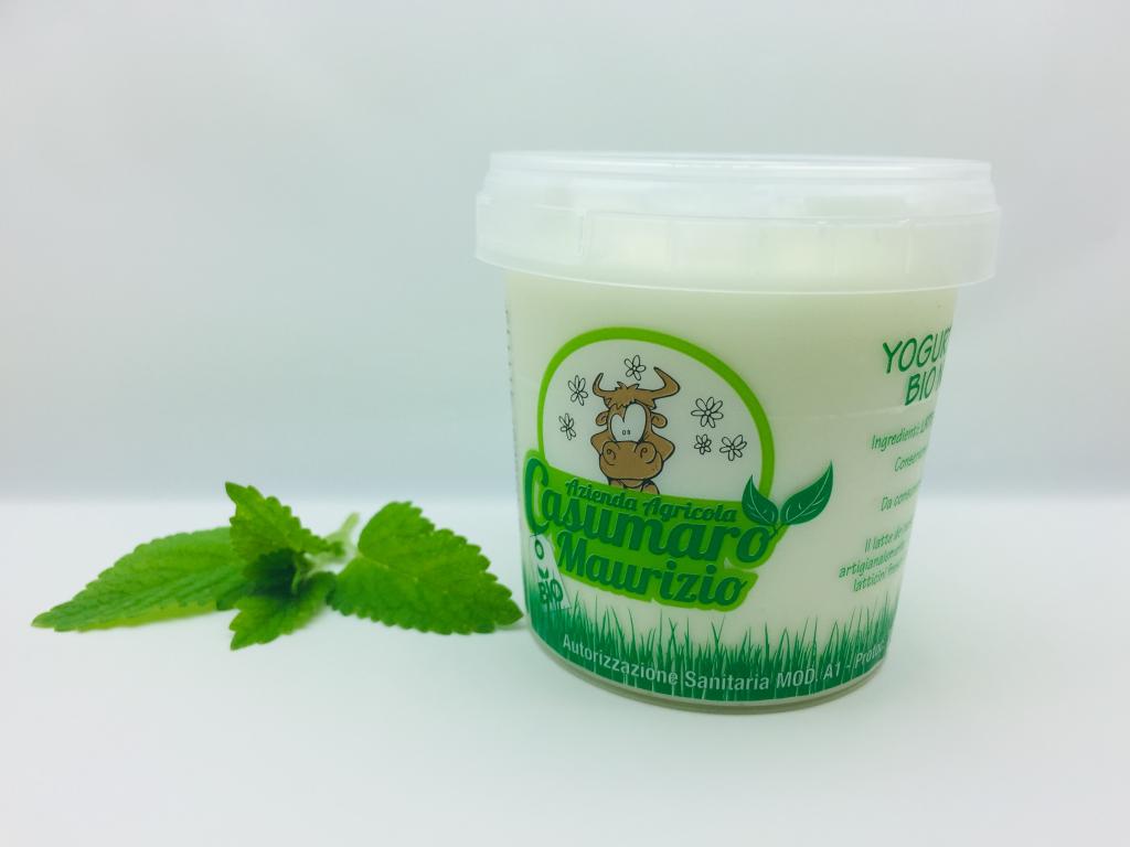 YOGURT  BUFALA  150 G BIO