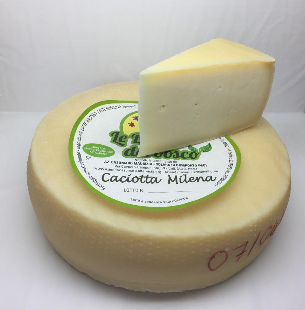 CACIOTTA MILENA MISTO formaggio di latte vaccino e bufalino saporito e compatto peso 500 grammi