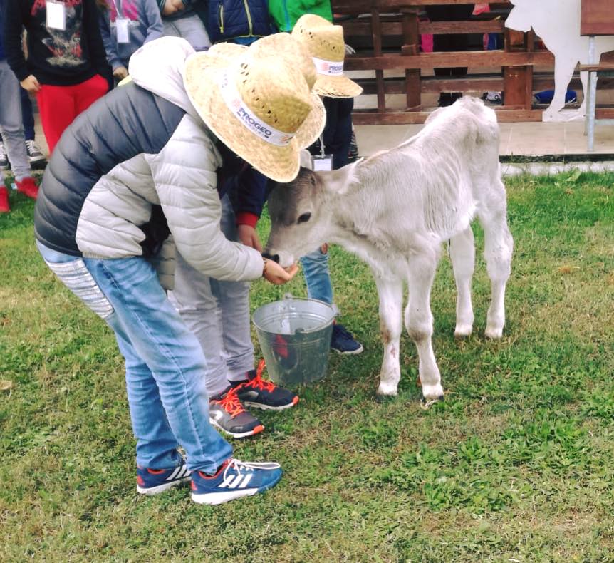 8 LUGLIO gli animali in fattoria